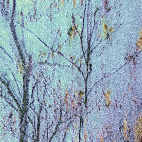 Fever Dream (feat. lysscin)