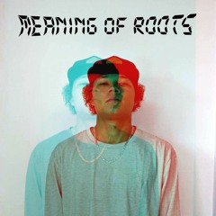 Meaning of Roots