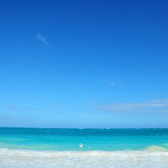 Soundtrack 08.20.2019