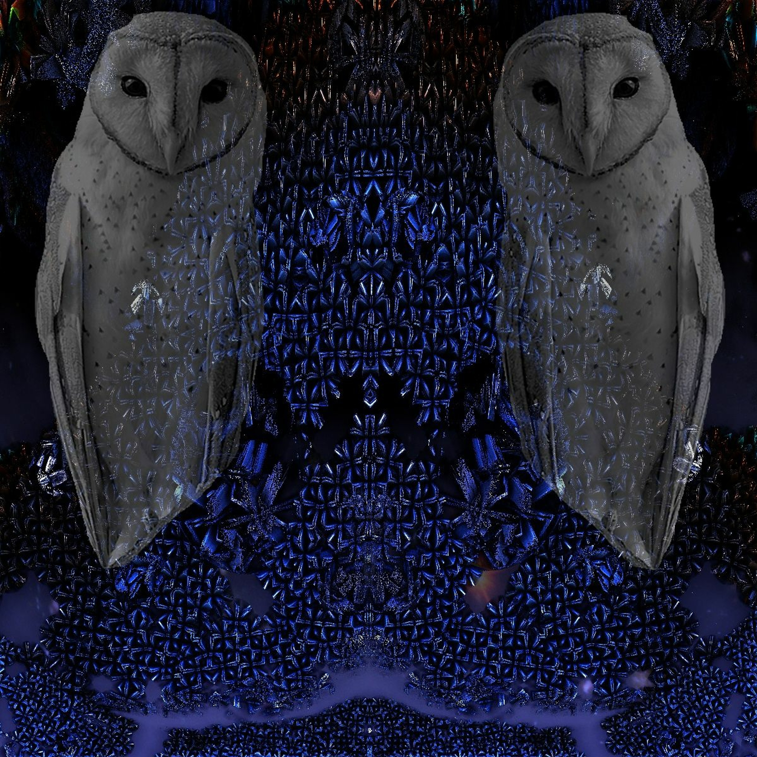 Strigiformes episode artwork