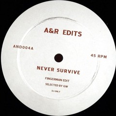A&R Edits - Never Survive (Fingerman Re - Edit)