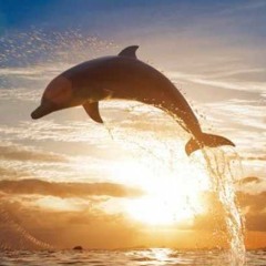 Cool Change (Little River Band cover)