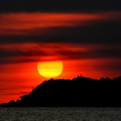 Skylight 2019 LOKPROD