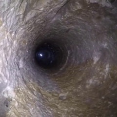 The Bottom 2019 LOKPROD