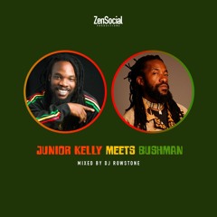 Junior Kelly Meets Bushman Mix