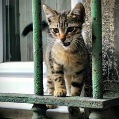 vinohradio episode 7