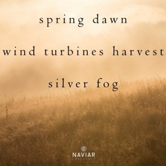 dawn turbines (naviarhaiku294 )