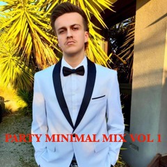 PARTY MINIMAL MIX VOL 1