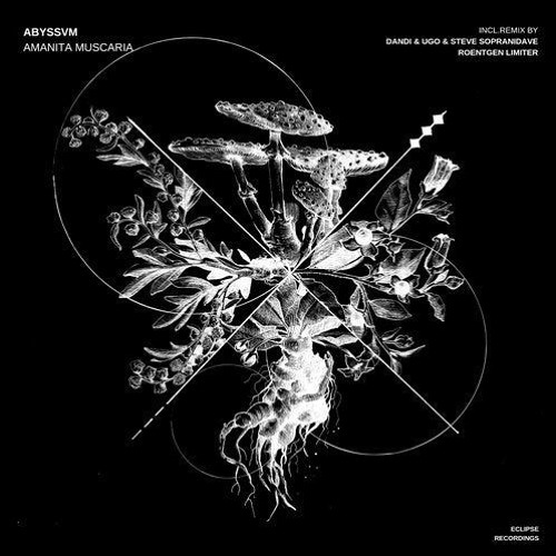 Abyssvm - Amanita Muscaria - Dandi & Ugo Vs Steve Soprani Remix