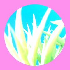 PREMIERE: LOR - Deepmind Orolex [LOREC]