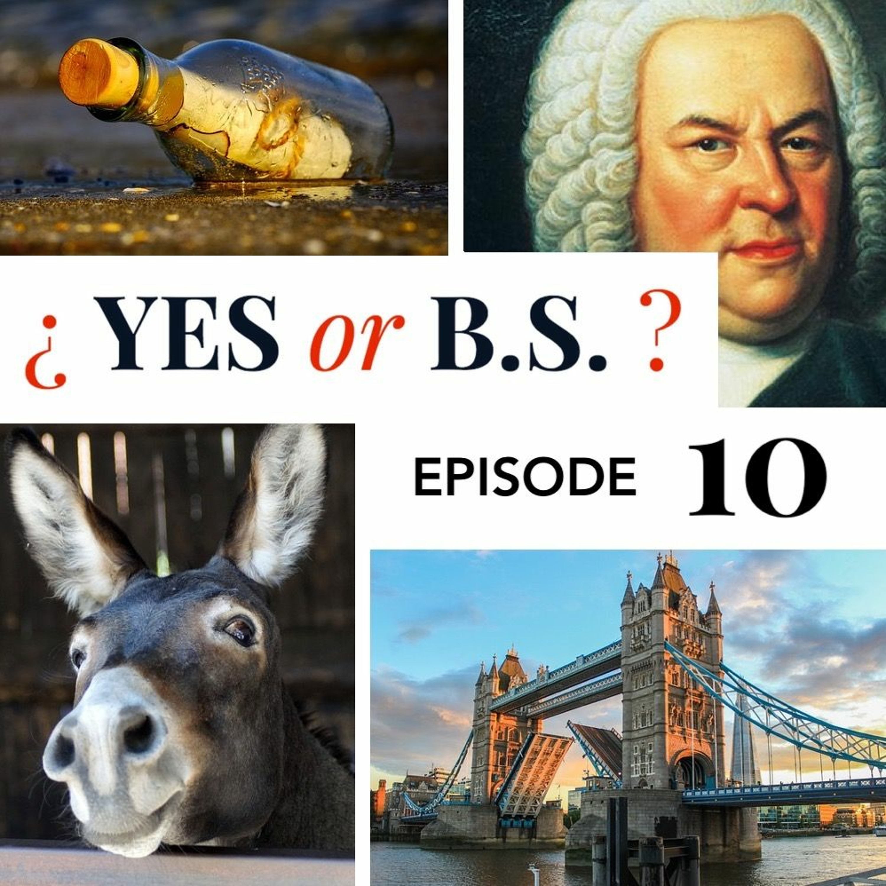 Episode 10: Did a Holy Roman Emperor once ride a donkey into battle?