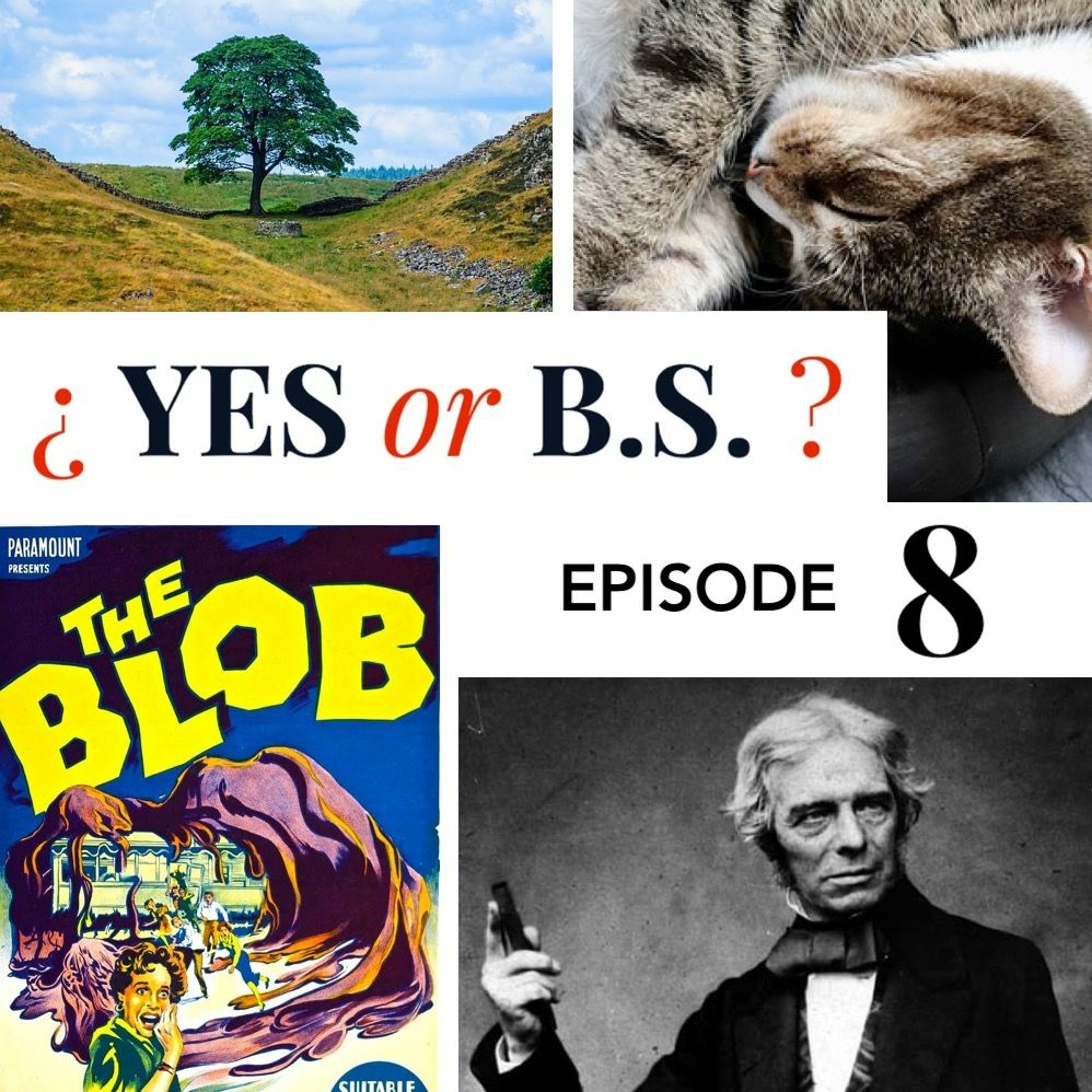 Episode 8: Did CS Lewis have a narcoleptic cat?