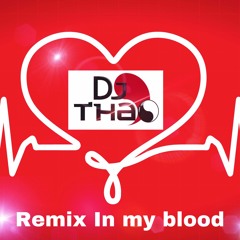 DJ THAO - Remix IN MY BLOOD - Kizomba