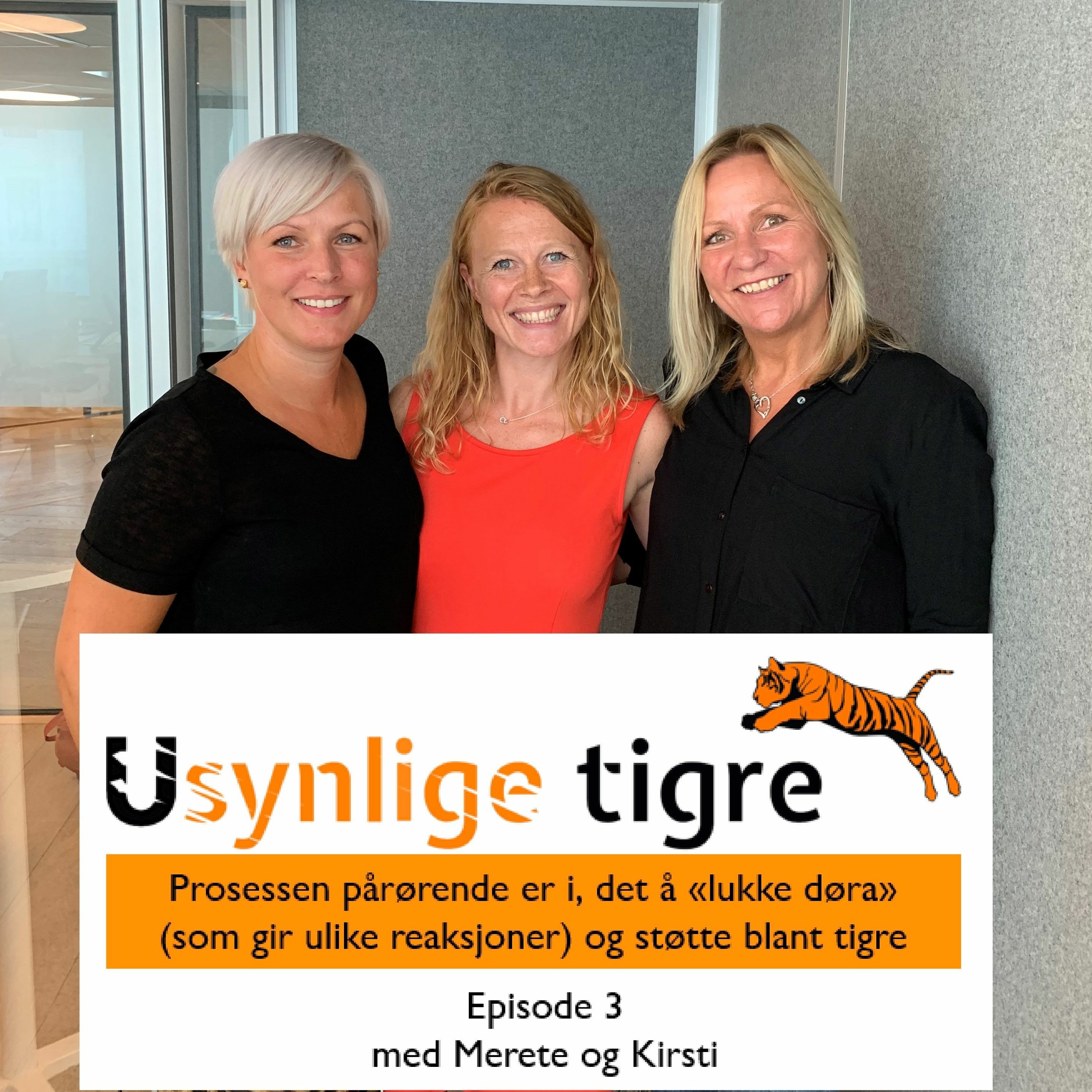 Usynlige tigre-podden