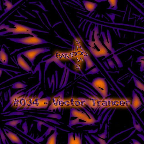 BS034 - Vector Trancer (Mirror Zone)