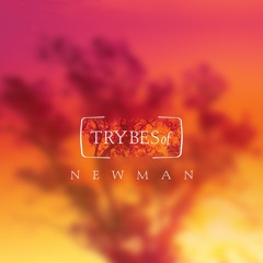 Newman - As The Day Rises