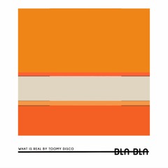 Toomy Disco - Behind Me [Bla Bla 113]