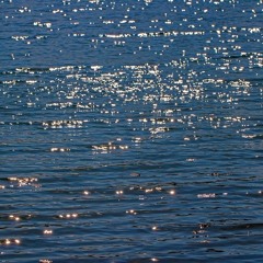 V. GABANO - TRASEGANDO ARTE