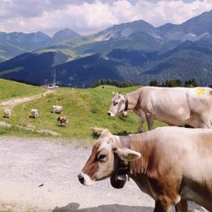 Prom Queen (beach bunny cover)