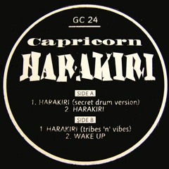 Capricorn - Harakiri