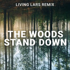 The Woods - Stand Down (Living Lars Remix)