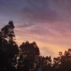 Can You Hear My Voice?