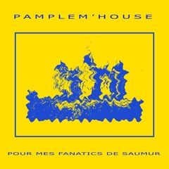 Benoit Lamothe (Aka Pamplem'House) - Pour Mes Fanatics De Saumur  (Rack.u Records)