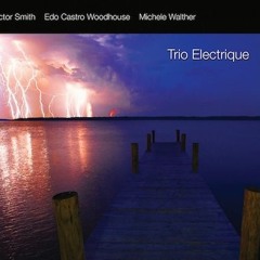 G.S.E. - Trio Electrique