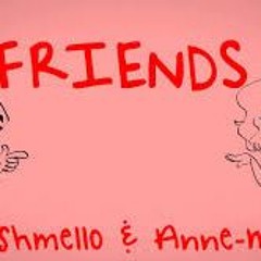 Marshmello & Anne Marie - Friends (DJ_Cush Remix)
