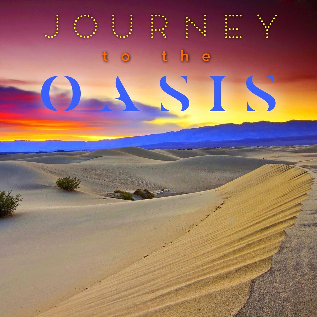 洋書 The Journey from the Desert to the Stars The Journey from the Desert to the Stars - English