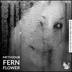 Methodub - Fern Flower (Original Mix)