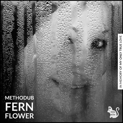 Methodub - Fern Flower (Original Mix)
