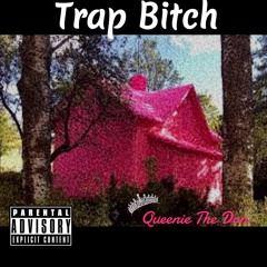 Trap Bitch (Prod. by D.I.Z) (Mixed by @DjSquibble)