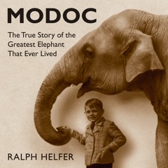 MODOC by Ralph Helpher