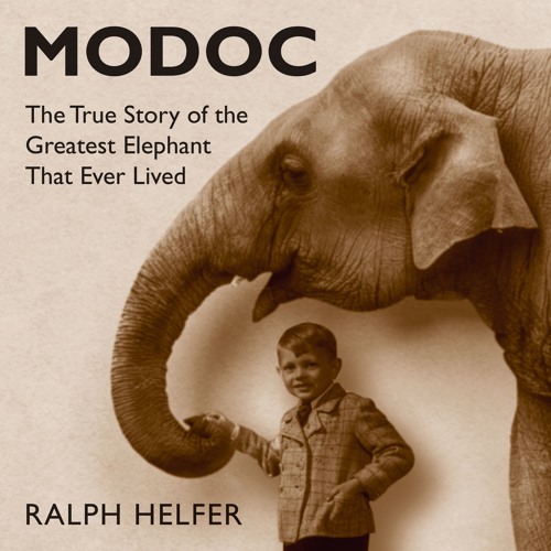 MODOC by Ralph Helpher