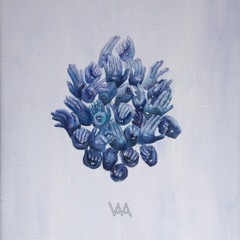 El Mundo Como Voluntad y Representacion - C5