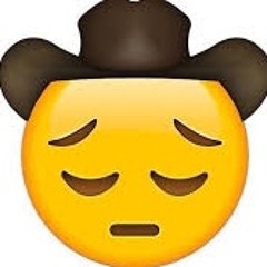 Brrrberrykanezb- Nothing's Ever Good Enough