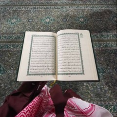 سَيَهْدِيهِمْ وَيُصْلِحُ بَالَهُمْ | ناصر العصفور