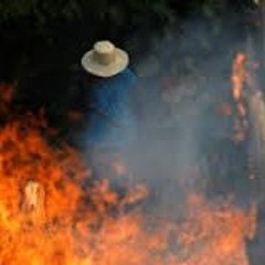 The World Is On Fire
