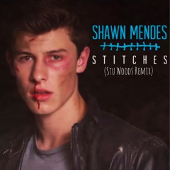 Shawn Mendez  - Stitches (Stu Woods Remix) - Clip