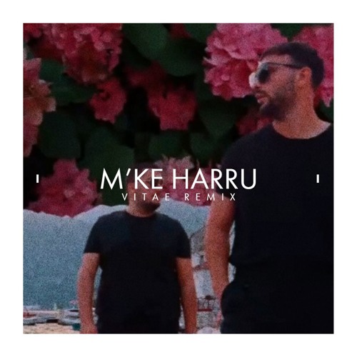 Ermal Fejzullahu Ft. Ledri Vula - M'ke Harru (Vitae Remix) 2019