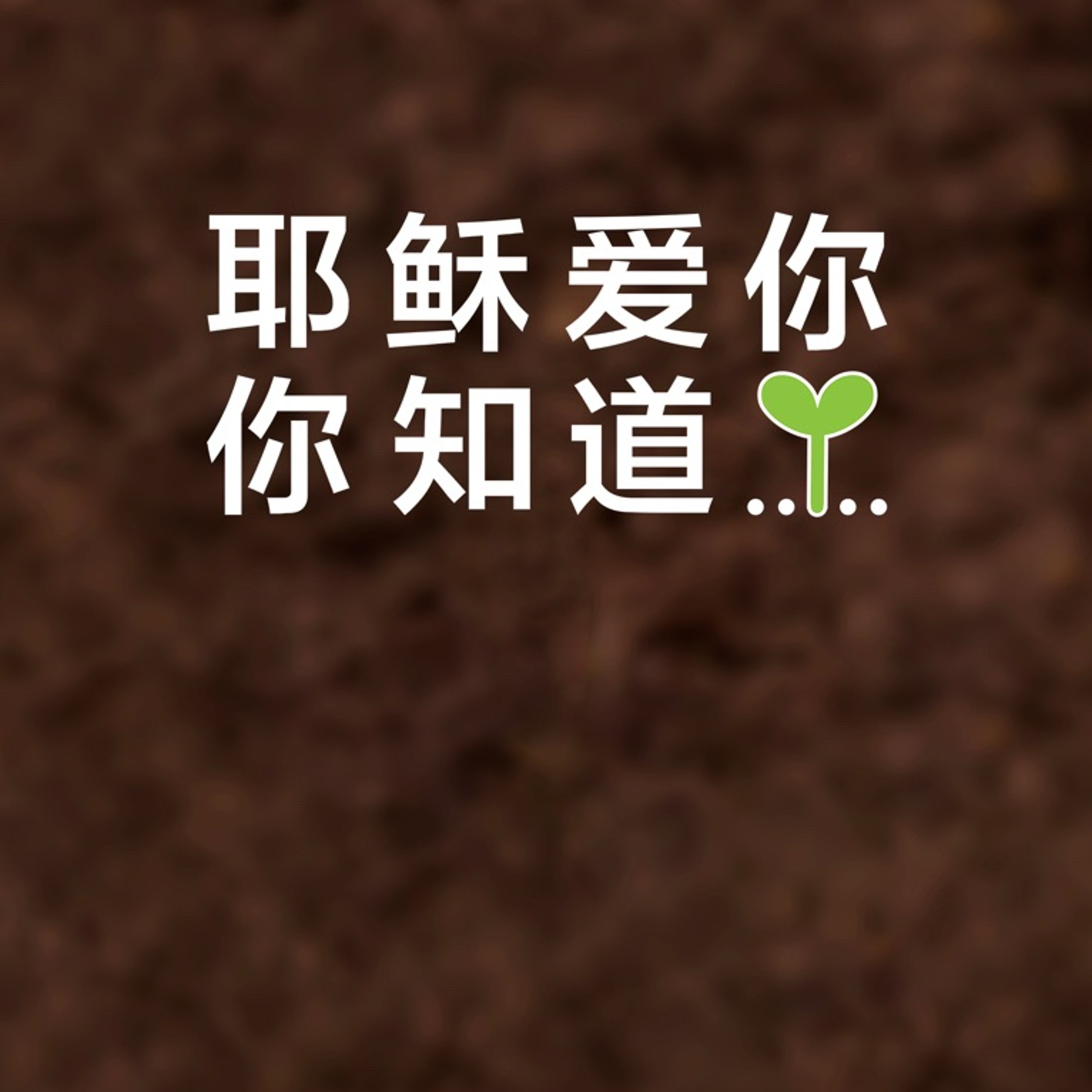 08182019 福音的故事——墮落 episode artwork