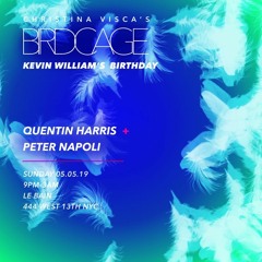 BIRDCAGE - Peter Napoli live @ Le Bain, The Standard NYC