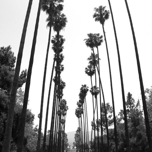 windows down in cali