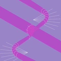 Iasos - Libra Sunrise (extant. Stereo Noon Refix)