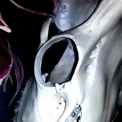 UNDESIRED (wi†ch cul† vol. ii)