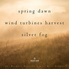 haiku #294: spring dawn / wind turbines harvest / silver fog