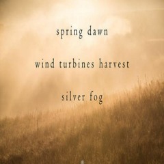 Spring Dawn - Silver Fog (Naviarhaiku 294)