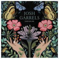 Josh Garrels - Closer Than A Brother