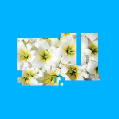 Lilies (Single)